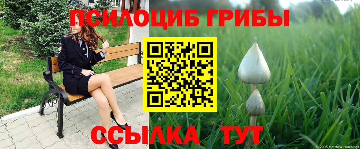 Псилоцибиновые грибы Psilocybine cubensis  Вход с VPN  Гусь-Хрустальный  где можно купить   Галлюциногенные грибы GOLDEN TEACHER 