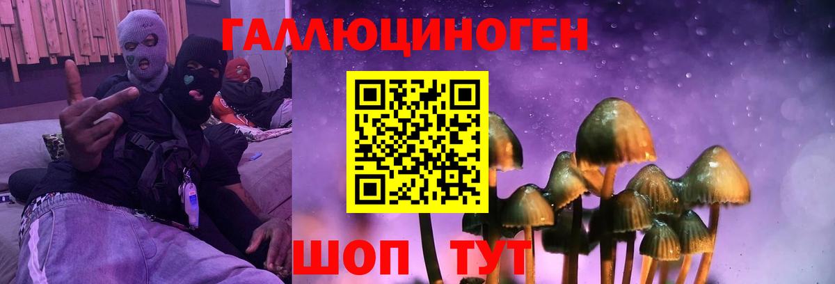 Псилоцибиновые грибы прущие грибы Гусь-Хрустальный